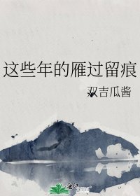 《这些年的雁过留痕》