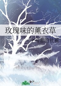 玫瑰味的薰衣草