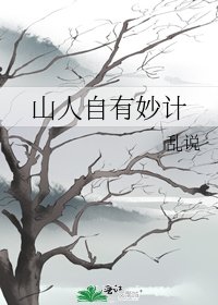 《山人自有妙计》