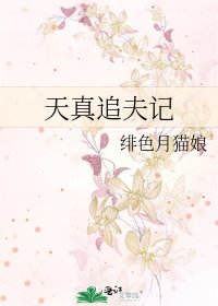 天真追夫记