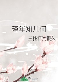 《瑾年知几何》