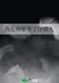 《我在雨里等了你很久》