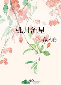 《弧月流星》