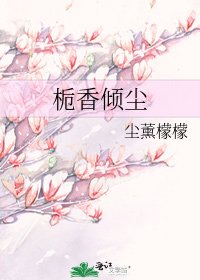 《栀香倾尘》