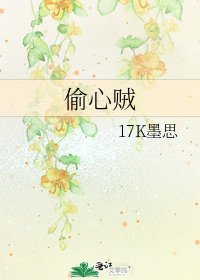 《偷心贼》