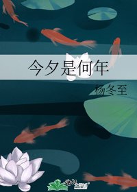 《今夕是何年》