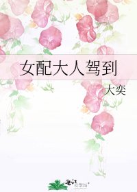 《女配大人驾到》