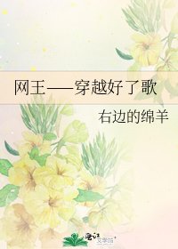 《网王——穿越好了歌》