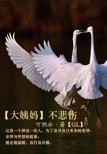《大姨妈不悲伤GL》