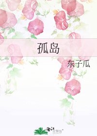 《孤岛》