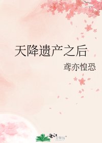天降遗产之后
