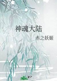 神魂大陆