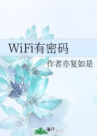 《WiFi有密码》