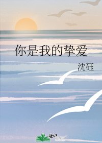 《你是我的挚爱》
