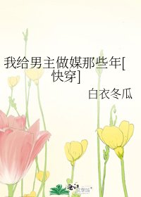 我给男主做媒那些年[快穿]