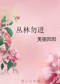 《丛林勿进》