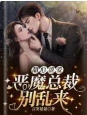 甜心涩爱，恶魔总裁别乱来