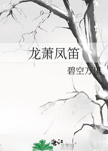 《龙萧凤笛》