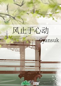 风止于心动