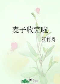 《麦子收完啦》