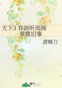 《天下3 弈剑听雨阁 翠微旧事》