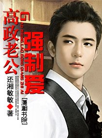 《高政老公强制爱》