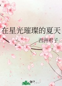 《在星光璀璨的夏天》