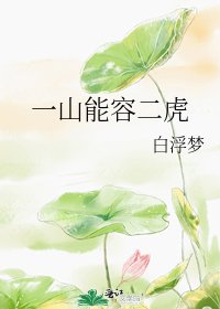 《一山能容二虎》