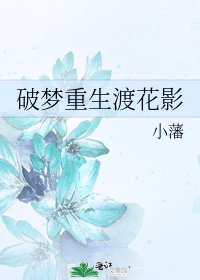 《破梦重生渡花影》