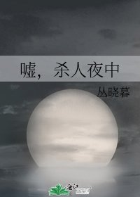 《嘘,杀人夜中》