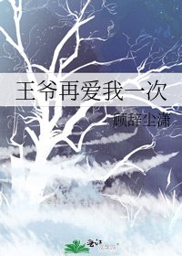 《王爷再爱我一次》