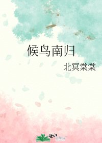 《候鸟南归》