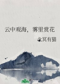 《云中观海,雾里赏花》