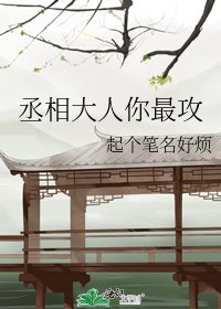 丞相大人你最攻