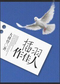 《插羽作佳人》