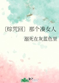 《〔综咒回〕那个凑女人》