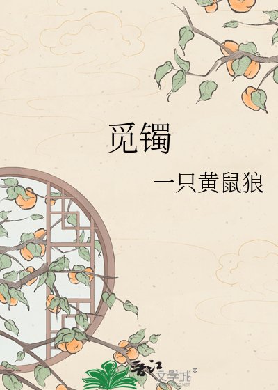 《觅镯》