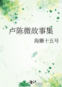 《卢陈微故事集》