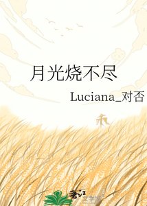 《月光烧不尽》