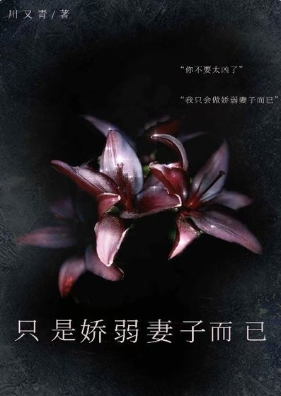 只是娇弱妻子而已