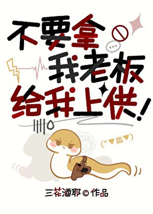 《不要拿我老板给我上供!》