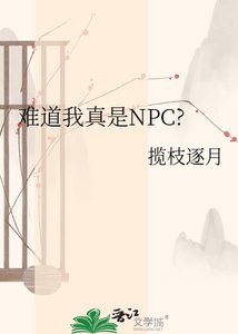 《难道我真是NPC?》