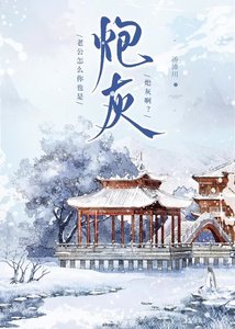 《老公怎么你也是炮灰啊》