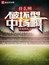 《什么叫破坏型中场啊》