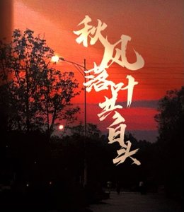 《秋风落叶共白头》