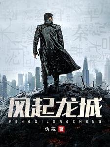 《风起龙城》