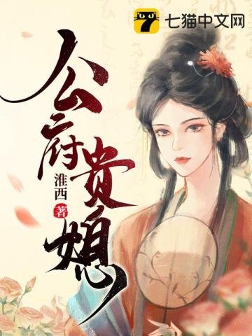 《公府贵媳》