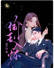 《偷玉入怀》