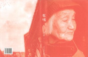 《盐镇(出书版)》