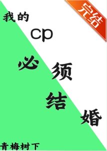 《(文野同人)我的cp必须结婚》